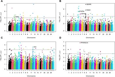 Genomic insights into adaptation and inbreeding among Sub-Saharan African cattle from pastoral and agropastoral systems